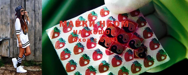 ПСИЛОЦИБИНОВЫЕ ГРИБЫ Валуйки