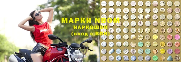 крисы Новодвинск
