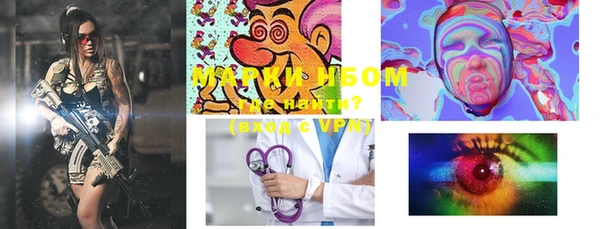 крисы Новодвинск