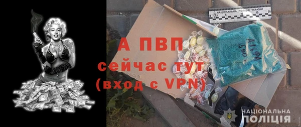 ешки Новозыбков