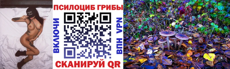 shop какой сайт  цены   кракен вход  Удомля  Галлюциногенные грибы мицелий 