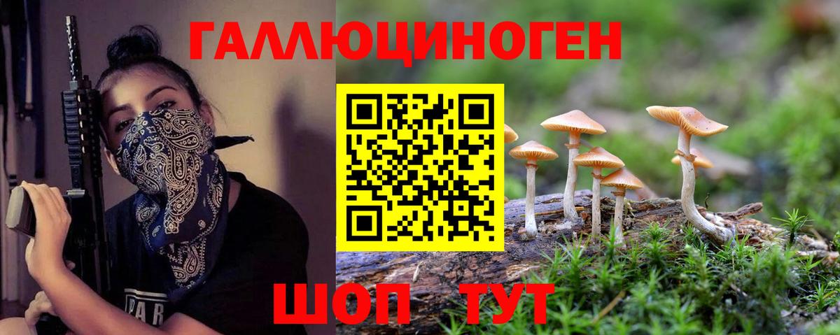 Псилоцибиновые грибы Psilocybe Удомля